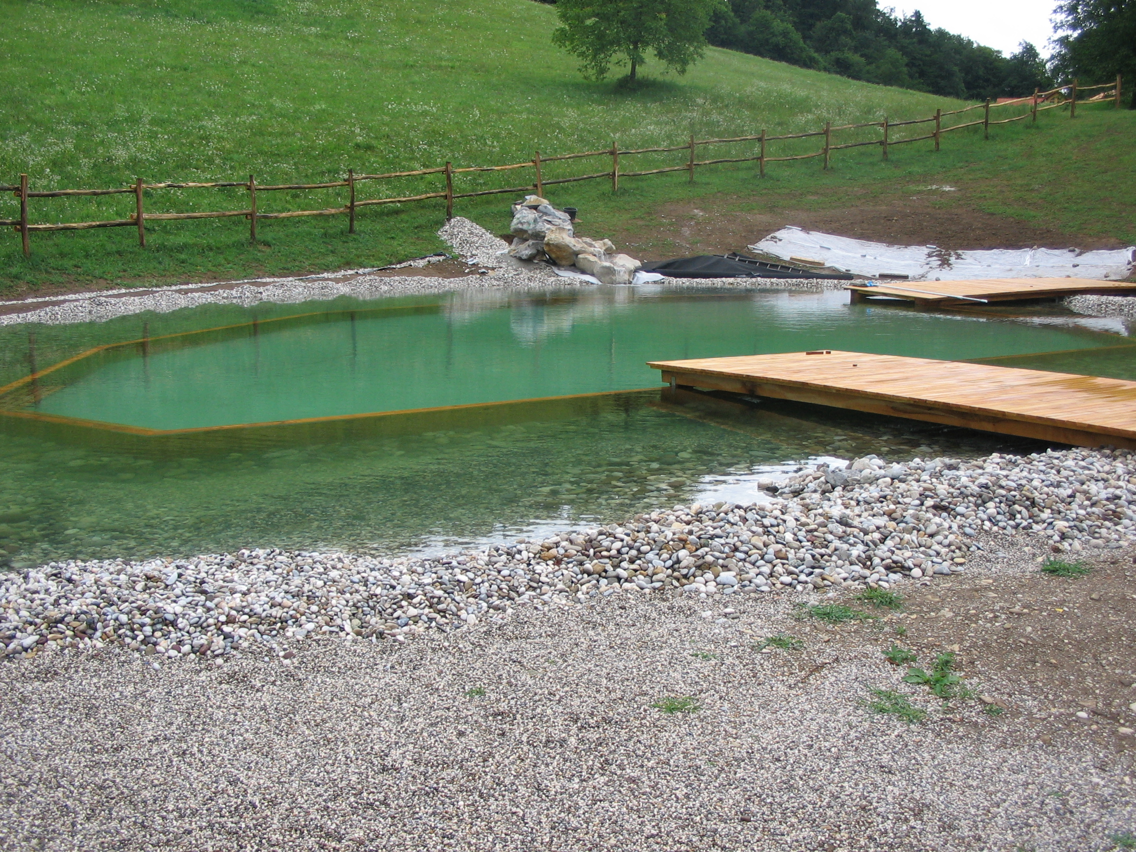 naravni-bazeni-galerija2